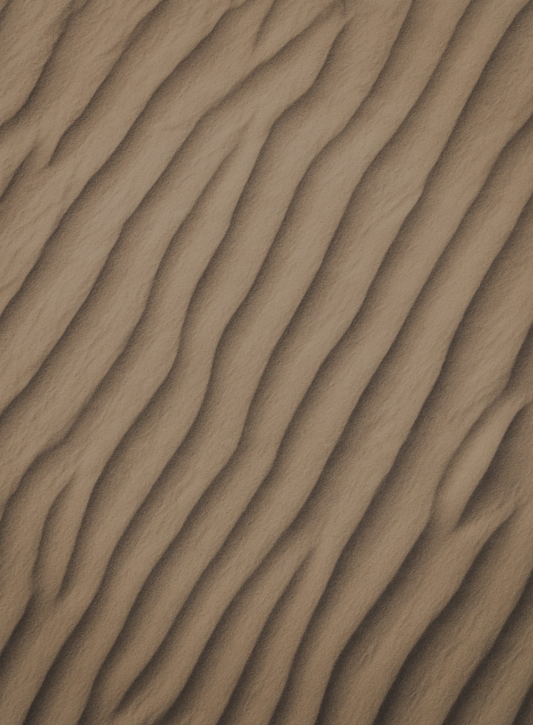 Texture of sand